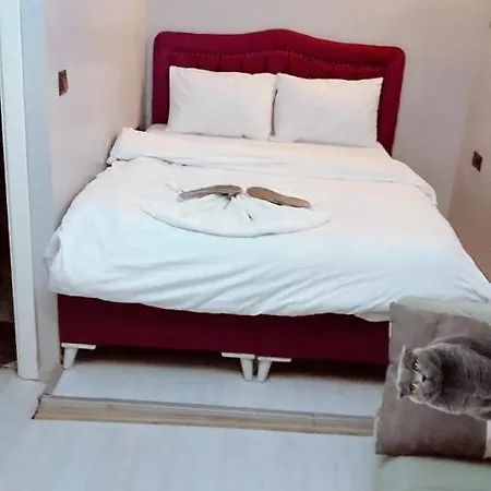شقة فندقية Aymila Apart *
