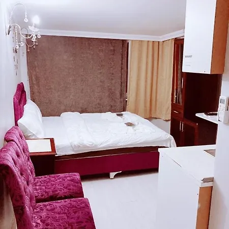 شقة فندقية Aymila Apart اسطنبول